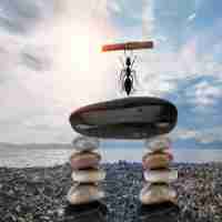 cdn自​选​节﻿点‌